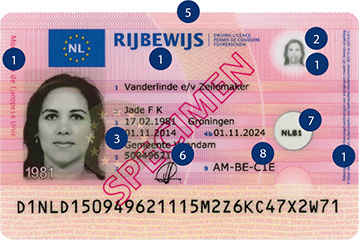 rijbewijs kopen in Nederland en België